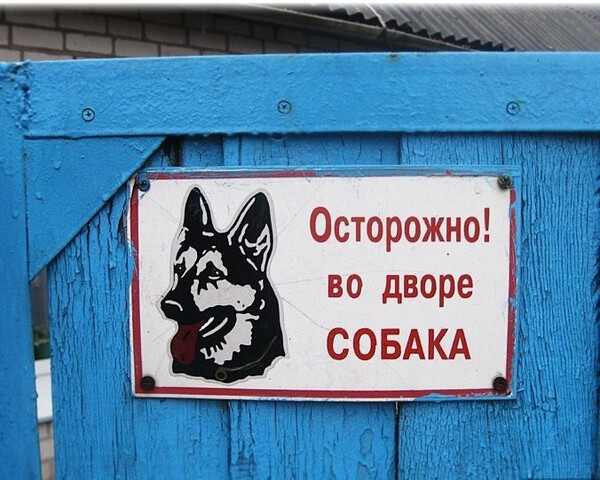 Злая собака