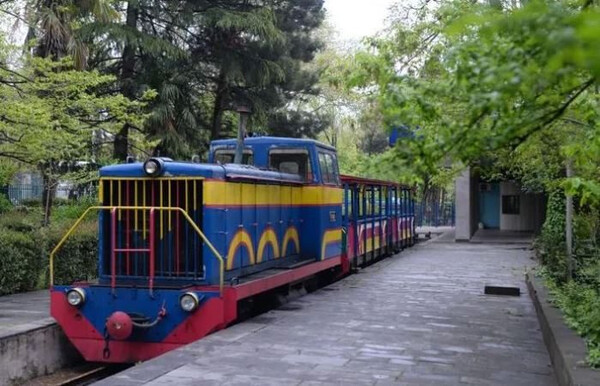 детская железная дорога в Тбилиси детская железная дорога в Тбилиси