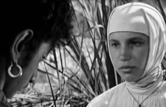 Неуловимые мстители