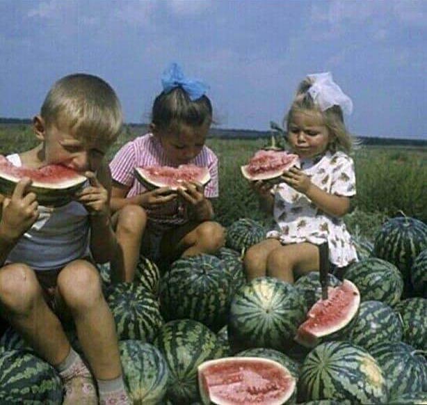 Жрем арбузы
