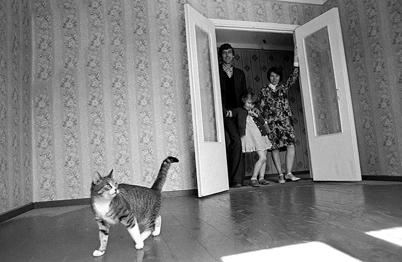 В новую бесплатную квартиру!