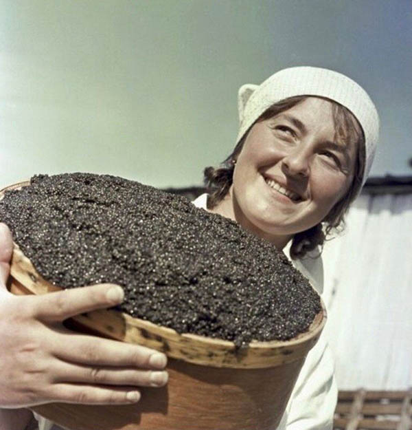 Икра черная